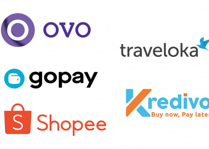 Inilah Perbedaan Bunga Paylater Pada Platform Traveloka, OVO, Go-Pay, Spay-Later, dan Kredivo Terbaru