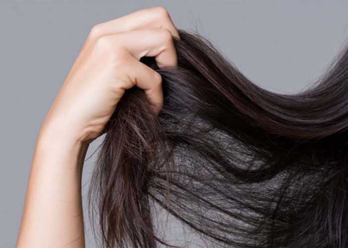 5 Cara Ampuh Untuk Mengatasi Rambut Mengembang dan Kaku Agar Mudah Diatur