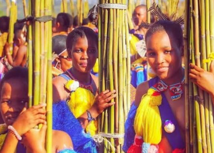 Jika Gagal Tes Keperawanan Gunakan Buluh, Gadis Suku Zulu Terancam Dibunuh