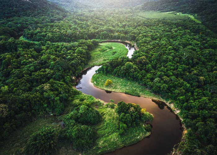 Punya Hutan dan Alam yang Indah, Inilah 10 Negara dengan Ekowisata Terbaik di Dunia, Indonesia Nomor Berapa?