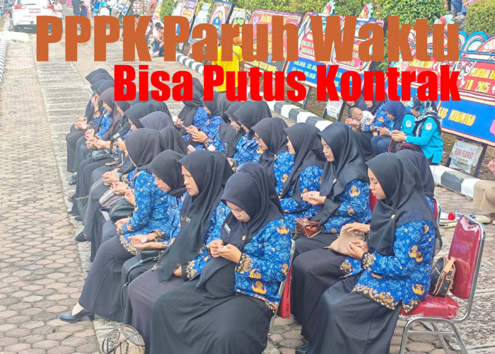 Keputusan Menpan RB Terbaru, Ada 11 Penyebab Diputuskannya Kontrak PPPK Paruh Waktu