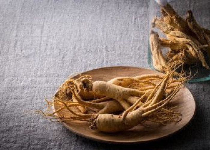 Benteng Pertahanan Alami: Menguak Manfaat Ginseng dalam Memperkuat Sistem Imun