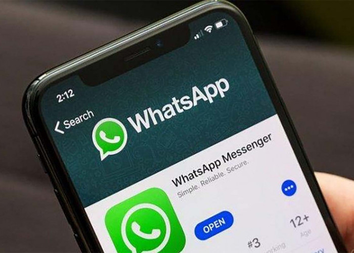 Apple Bakal Memblokir WhatsApp, Pengguna iPhone Harus Waspada