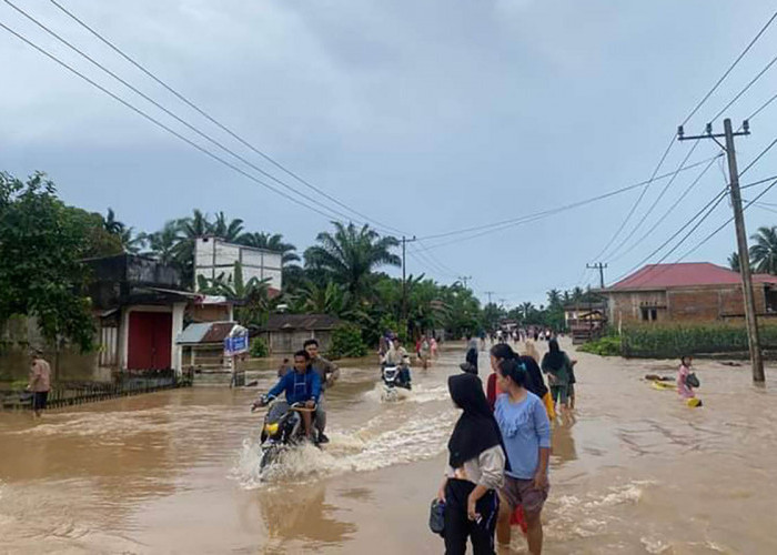 Kabar Banjir, Jalan Nasional di Nagari Tapan Pesisir Selatan Terendam