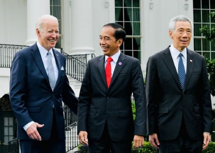 Daftar Gaji Presiden Tertinggi di Dunia, Apakah Jokowi Termasuk?
