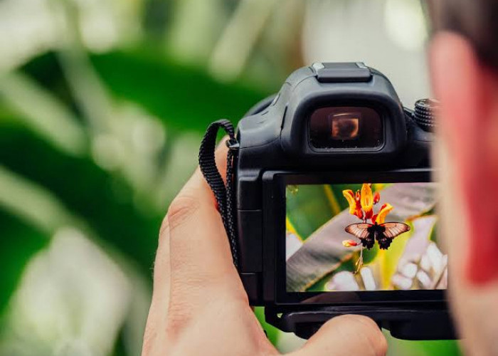DSLR vs Mirrorless: Mana yang Lebih Baik untuk Konten?