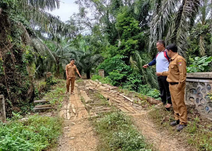 Jadi Akses Penghubung Desa, Padang Gading Minta Rehab Jembatan