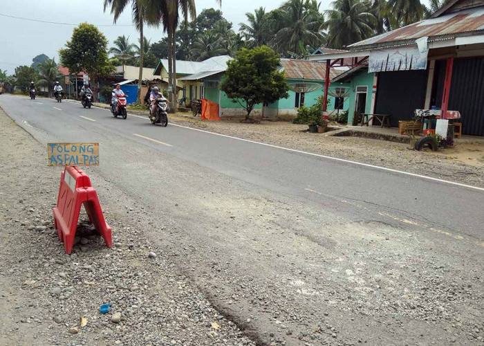 Kondisi Jalan Nasional di Sini Rusak Berlobang, Warga Pasang Tulisan 'Tolong Aspal Pak' 