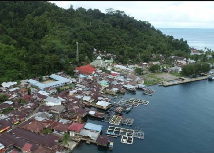 5 Kabupaten di Sumatera Barat Ini Layak Dimekarkan Punya Wilayah yang Luas