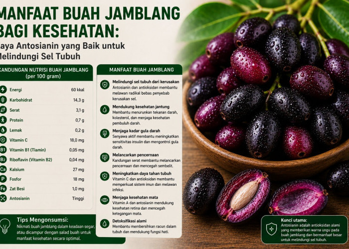Manfaat Buah Jamblang bagi Kesehatan: Kaya Antosianin yang Baik untuk Melindungi Sel Tubuh