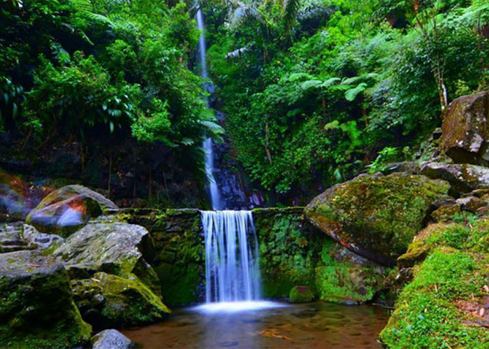 Tak Hanya Indah Tapi juga Menyegarkan! Inilah Keindahan Pesona Wisata Parang Ijo di Solo