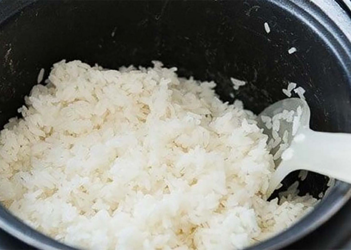 Tips Menyimpan Nasi yang Ngga Habis di Rice Cooker Agar Lebih Awet dan Ngga Basi