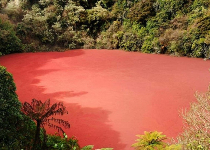 Waw! Ditemukan Danau Misterius Berwarna Merah di Bengkulu, Ini Letaknya