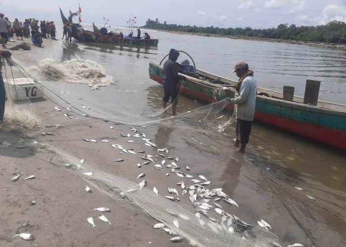 Hasil Tangkapan Melimpah, Nelayan Tradisional Mukomuko Malah Rugi, Ternyata Ini Penyebabnya