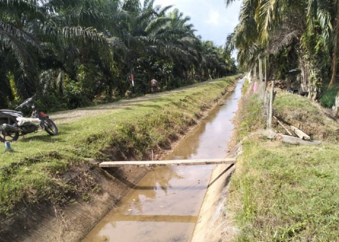 Saluran Sekunder Daerah Irigasi Manjuto Rusak, Petani: Kami Minta Kepedulian BWS