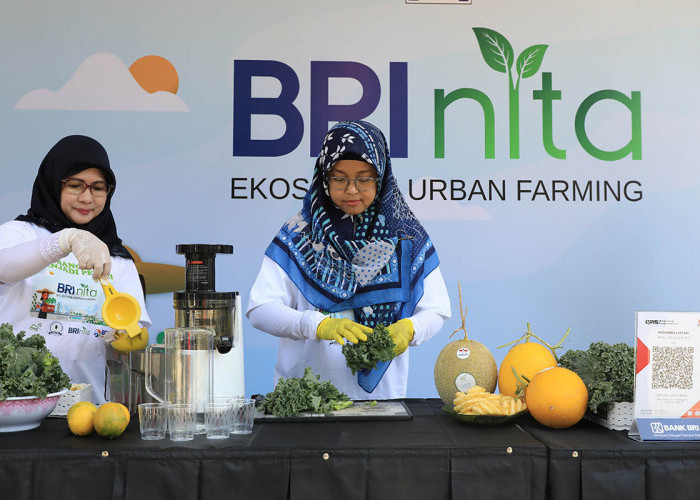 Kembangkan Urban Farming di Lahan Sempit, BRI Peduli Inspirasi Bertani di Kota (BRInita)