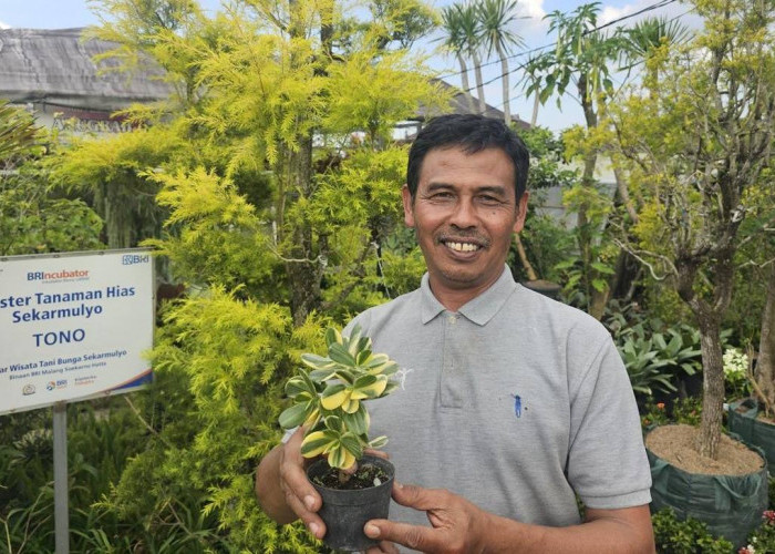 Sukses Jadi Mata Pencaharian Warga, Ini Kisah Klaster Usaha Tanaman Hias Binaan BRI