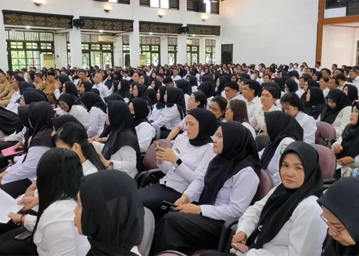 Calon PPPK Paruh Waktu Harus Tahu, Ini Cara dan Jadwal pengisian DRH