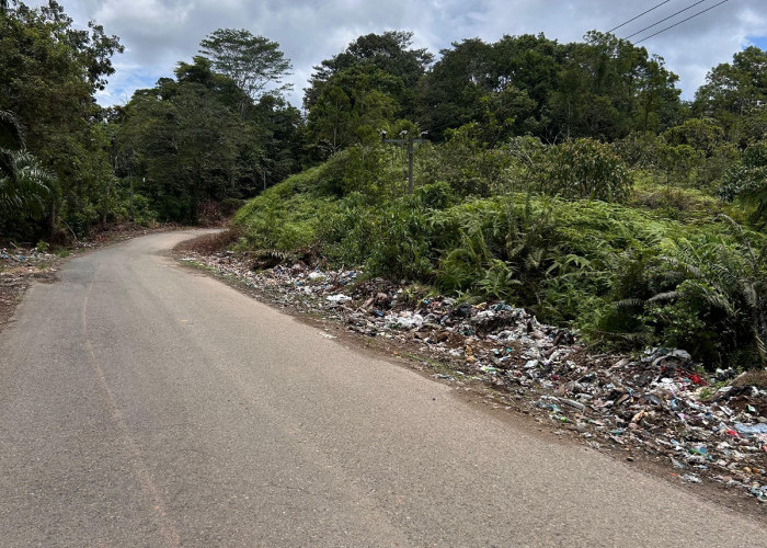 Tumpukan Sampah di Jalan Provinsi Wilayah Kecamatan V Koto Berbau Tak Sedap