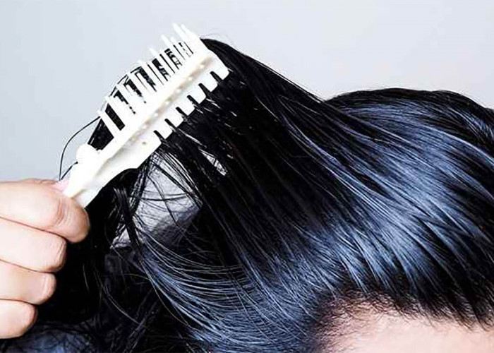 Tips dan Cara Menjaga Rambut Berminyak Agar Tetap Sehat dan Tidak Bau