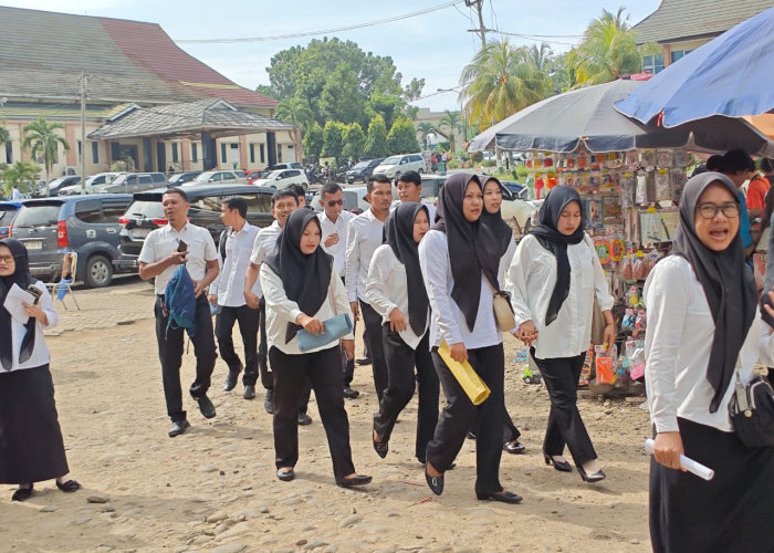 Isu Pegawai Titipan, Honorer Non ASN Minta Diprioritaskan Sebagai Tenaga Outsourcing