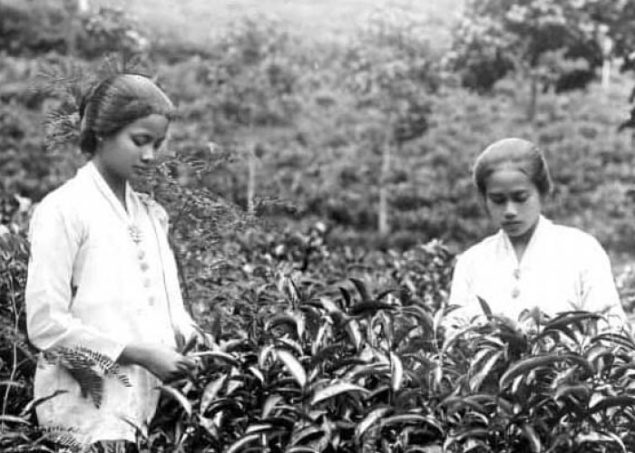 Orang Sunda Tidak Mau Disebut Orang Jawa Walau Berasal Dari Pulau Jawa, Ternyata Ini Alasannya