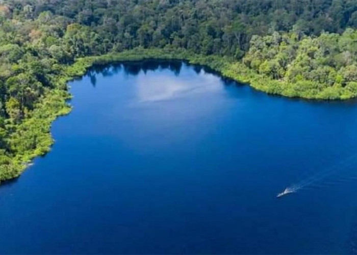 Permata di Tengah Hutan Riau yang Rimbun, Inilah Pesona Danau Zamrud