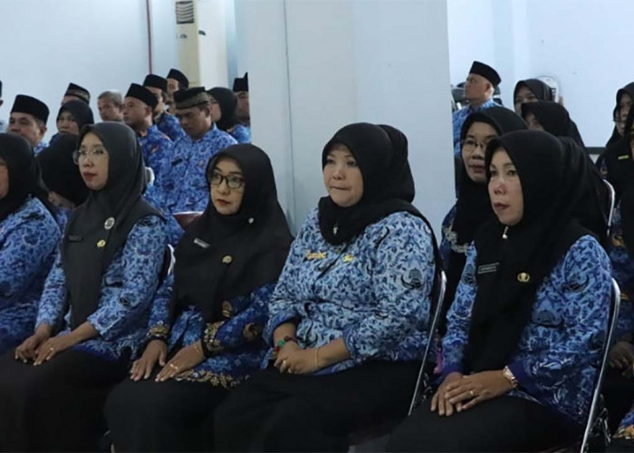 Segini Jumlah Guru Sertifikasi di Kabupaten Mukomuko yang Bakal Terima TPG Triwulan I  