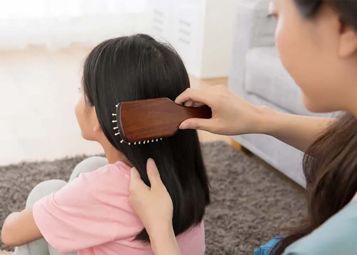 Tips Merawat dan Menjaga Kesehatan Rambut Anak untuk Menghilangkan Kutu 