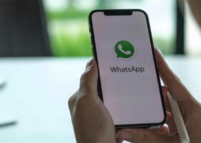 Pengguna Handphone Merek Ini Tidak Bisa Lagi Gunakan WhatsApp, Berikut Daftarnya