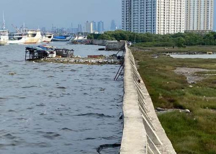 7 Daerah Ini Terancam Tenggelam Berubah Menjadi Lautan, Ini Penyebabnya