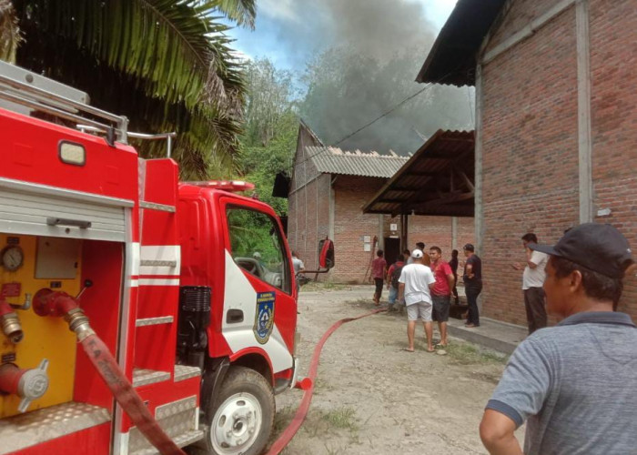 Pabrik Karet di Putri Hijau Terbakar, Sekitar 2 Ton Getah Kering Hangus