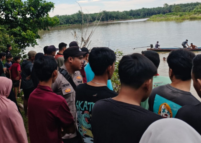 Warga Hilang Diduga Sempat Diterkam Buaya Sungai Manjunto