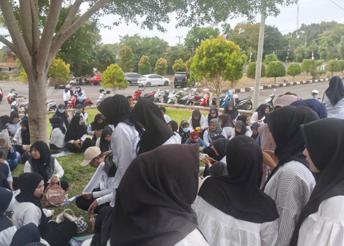 Honorer R4 Tuntut Kepastian Nasib, Bupati Mukomuko Berjanji Usulkan ke Pusat
