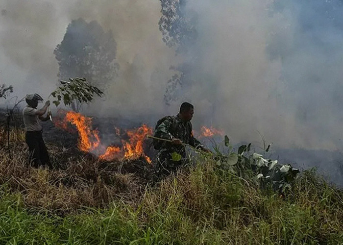 Bencana Kebakaran Hutan di Riau Harus Jadi Perhatian Khusus