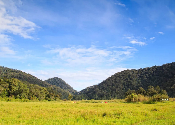 Wisata Healing Forest di Ranca Upas, Lembang: Berjalan di Hutan dan Berendam di Onsen