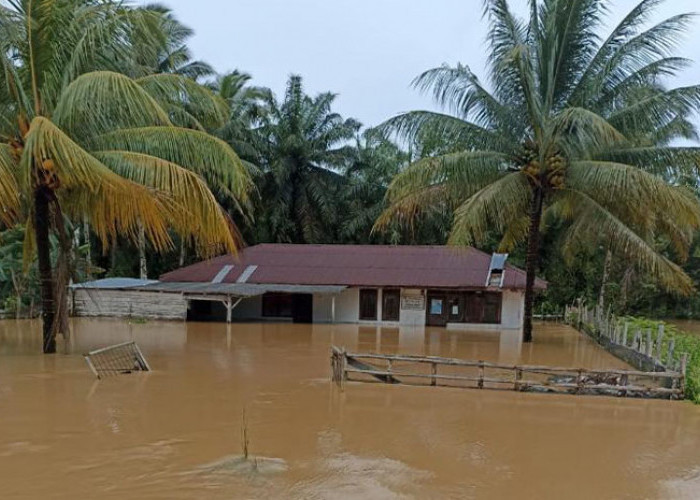 316 Unit Rumah Terendam, Korban Banjir Mengungsi