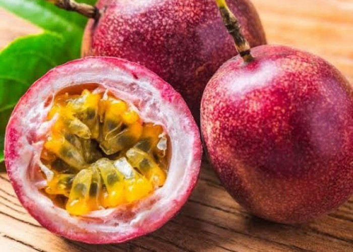 Markisa: Perisai Tropis Ampuh untuk Memperkuat Sistem Kekebalan Tubuh Anda