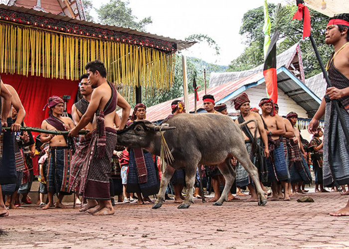 Tradisi-tradisi Unik yang Dimiliki Sumatera Utara, Tidak Ada di Daerah Lain