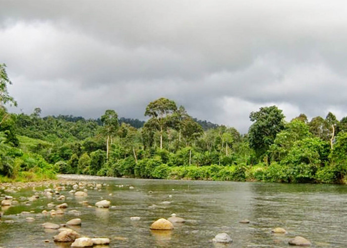 Mengenal Mukomuko, Terdapat 8 Aliran Sungai Dihuni Binatang Buas, Terkenal Banyak Ikannya