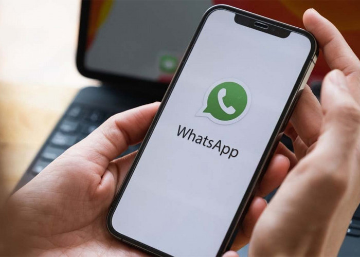 Begini Jadinya Jika Kita Mengganti Nomor WhatsApp