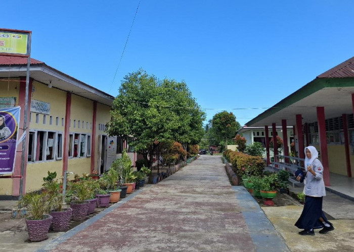 Gerombolan Monyet Ganggu Kenyamanan Warga SMPN 1 Mukomuko, Komite: Pematangan Lahan Mesti Disegerakan