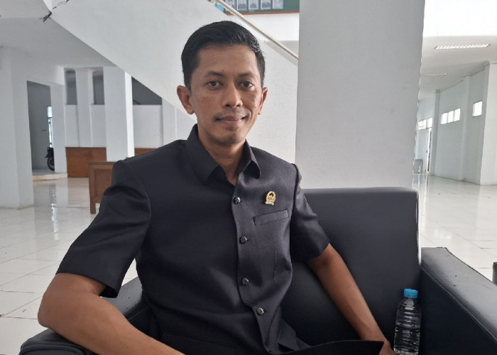 Dewan Minta Bantuan PLN Pasang Tiang Listrik Dusun Sumber Sari Desa Mekar Mulya Penarik