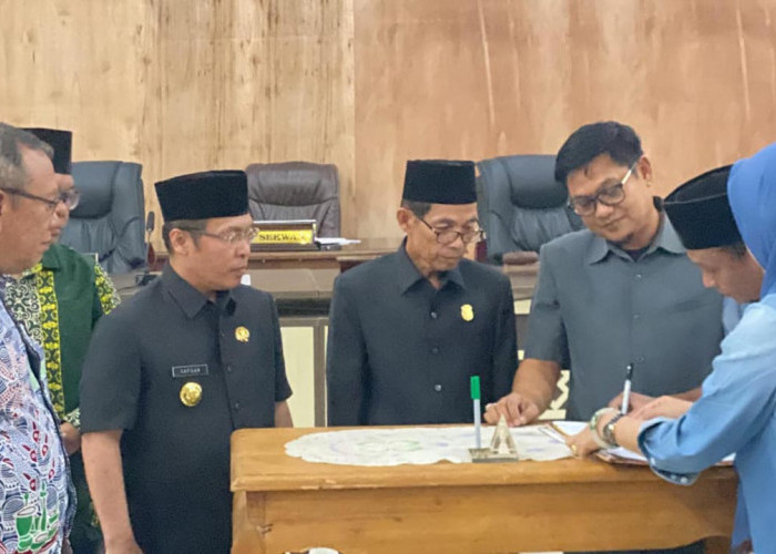 APBD 10 Kabupaten Kota di Bengkulu 2025, Pendapatan 3 Kabupaten Masih di Bawah Rp1 Triliun 