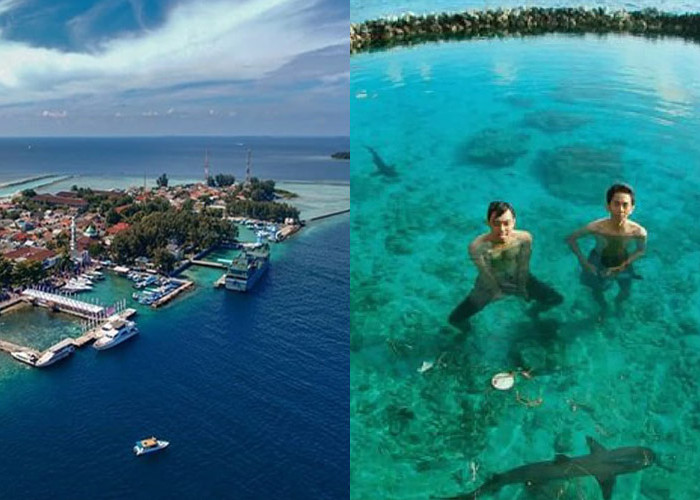 Coba Keseruan Wisata Bahari di Pulau Pramuka, Bisa Berenang Bersama Hiu 