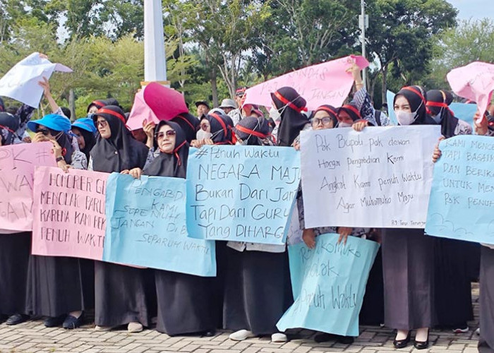 Pemerintah Pusat dan DPR RI Sepajat Seluruh Honorer Kode R Diangkat PPPK Full Time, Tapi...