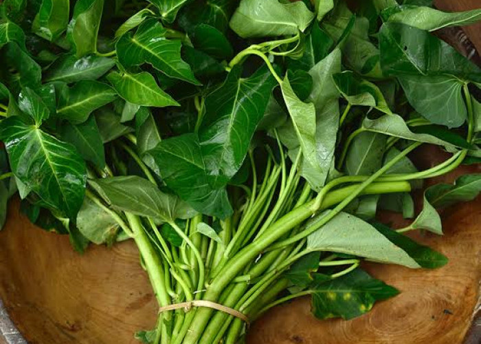 Ini Manfaat Sayur Kangkung untuk Tubuh Yang Jarang Diketahui