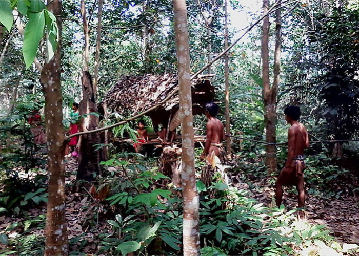 Menolak Tunduk Pada Belanda, Suku Kubu Pindah ke Hutan Belantara Hingga Menjadi Suku Terasing