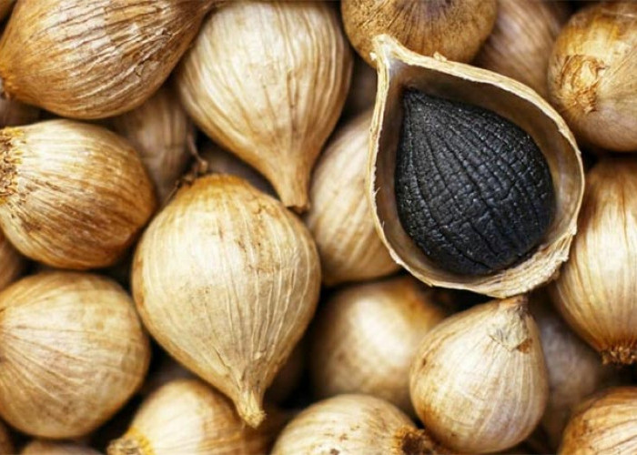 Keberagaman Manfaat dari Black Garlic bagi Kesehatan Tubuh, Salah Satunya Meningkatkan Fungsi Otak