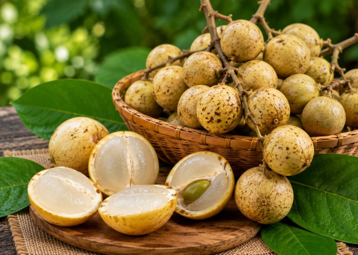 Manfaat Buah Rambai bagi Kesehatan: Buah Langka Nusantara yang Kaya Vitamin dan Serat